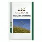 Shepherd's Purse Vegetable Modern Herbal Capsella Bursa-pastoris - 3000 PCS Seeds