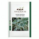 Stachys byzantina Lamb's Ear - 100 PCS Seeds