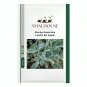 Stachys byzantina Lamb's Ear - 100 PCS Seeds