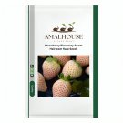 Strawberry Pineberry Sweet Heirloom Rare - 200 PCS Seeds