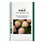 Strawberry Pineberry Sweet Heirloom Rare - 200 PCS Seeds