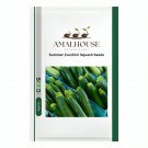 Summer Zucchini Squash - 25 PCS Seeds