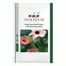 Susan Rose Red Flowers with Black Eye - 10 PCS Seeds