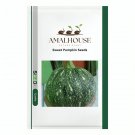Sweet Pumpkin - 10 PCS Seeds