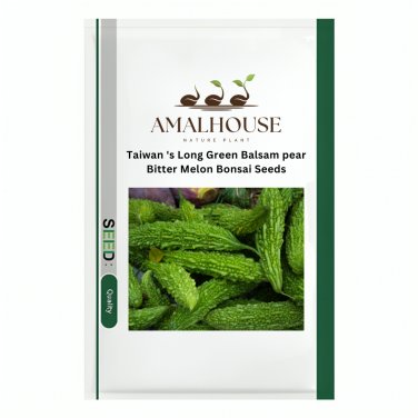Taiwan 's Long Green Balsam pear Bitter Melon Bonsai - 10 PCS Seeds