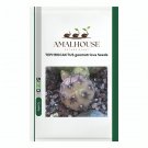 TEPHROCACTUS geometricus - 10 PCS Seeds