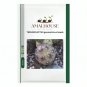 TEPHROCACTUS geometricus - 10 PCS Seeds