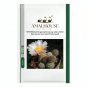 TEPHROCACTUS geometricus ssp. willy-smithii Rare Cactus Succulent Plants - 10 PCS Seeds
