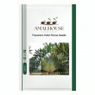 Travelers Palm Flores - 100 PCS Seeds