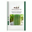 Trichocereus Hybriden Mix Fresh rare cactus - 10 PCS Seeds