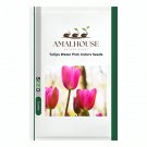 Tulips Water Pink Colors - 100 PCS Seeds