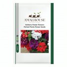 Verbena Flower Flowers Potted Plants Flower - 10 PCS Seeds