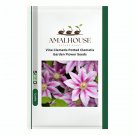 Vine Clematis Potted Clematis Garden Flower - 10 PCS Seeds