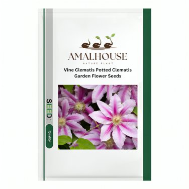 Vine Clematis Potted Clematis Garden Flower - 10 PCS Seeds