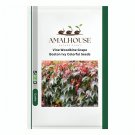 Vine Woodbine Grape Boston Ivy Colorful - 100 PCS Seeds