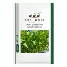 Water spinach water convolvulus - 100 PCS Seeds