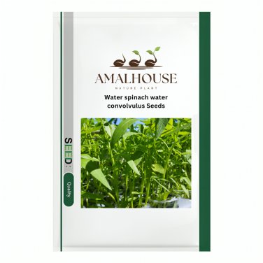 Water spinach water convolvulus - 100 PCS Seeds