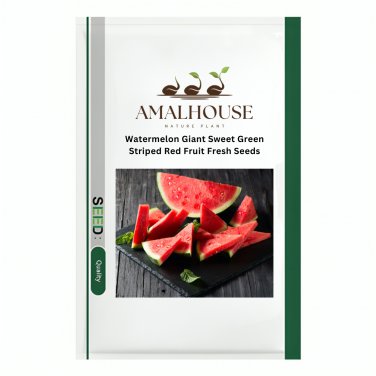 Watermelon Giant Sweet Green Striped Red Fruit Fresh - 25 PCS Seeds