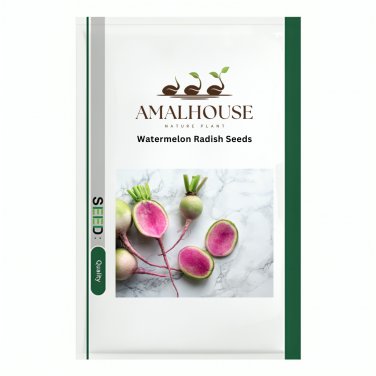 Watermelon Radish - 400 PCS Seeds