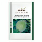 Wax Gourd White Ash Gourd Winter Melon Dong Gua - 100 PCS Seeds
