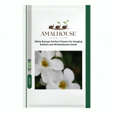 White Bacopa Perfect Flowers for Hanging Baskets and Windowboxes - 100 PCS Seeds