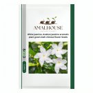 White jasmine Arabian jasmine aromatic plant good smell chinese flower - 10 PCS Seeds