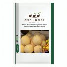 White Muskmelon Sugar Jar Melon Delicious Fruit Garden - 200 PCS Seeds