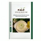White Ranunculus Plant DIY Potted Plants Germination - 100 PCS Seeds