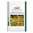 Wildflower Perennial long-lived fast growing attractive impressive - 400 PCS Seeds
