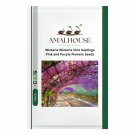 Wisteria Wisteria Vine Saplings Pink and Purple Flowers - 5 PCS Seeds