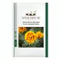 Yellow African Marigold French Marigold - 100 PCS Seeds