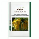 Yellow Imperial Crown bonsais Fritillaria imperialis Lutea Flowers - 20 PCS Seeds