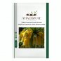 Yellow Imperial Crown bonsais Fritillaria imperialis Lutea Flowers - 20 PCS Seeds