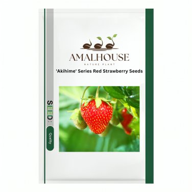 'Akihime' Series Red Strawberry - 200 PCS Seeds