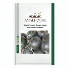 'Black Tyrant' Super-sweet Watermelon - 2 PCS Seeds