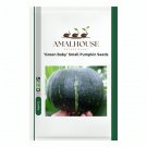 'Green Baby' Small Pumpkin - 20 PCS Seeds