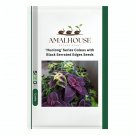 'Huolong' Series Coleus with Black Serrated Edges - 100 PCS Seeds