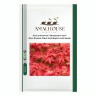 Acer palmatum 'Atropurpureum' Rare Potted Plant Red Maple Leaf - 10 PCS Seeds