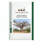 Adansonia digitata (Baobab) Tree - 5 PCS Seeds