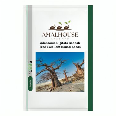 Adansonia Digitata Baobab Tree Excellent Bonsai - 2 PCS Seeds