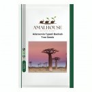 Adansonia Typed-Baobab Tree - 2 PCS Seeds