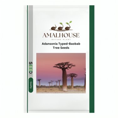 Adansonia Typed-Baobab Tree - 2 PCS Seeds