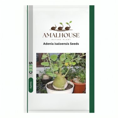 Adenia isaloensis - 5 PCS Seeds