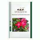 Adenium Red Colorful Double Flowers - 5 PCS Seeds