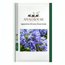 Agapanthus Africanus Flower - 100 PCS Seeds