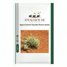 Agave Deserti Garden Plants - 10 PCS Seeds