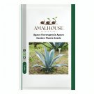 Agave Durangensis Agave Garden Plants - 10 PCS Seeds