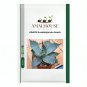 AGAVE Guadalajarana - 5 PCS Seeds
