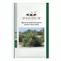 Agave karwinskii Succulents Garden Plants - 10 PCS Seeds