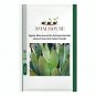 Agave Macroacantha Schwarzstachel Leaves Succulent plant - 10 PCS Seeds